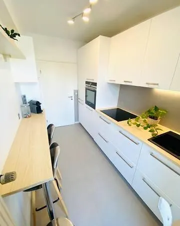 Apartment New Large 1 Bedroom Flat In Center With Parking - 64