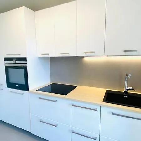 New Large 1 Bedroom Flat In Center With Parking - 64 Apartment
